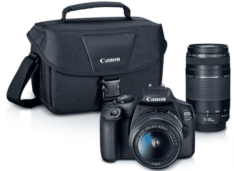 The Best Video Camera for Beginners in 2024 [Reviewed]